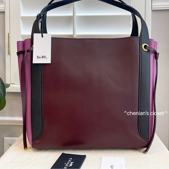 🔥NeW! Coach Harmony Colorblock Hobo - Picture 7 of 16